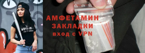 крисы Дедовск