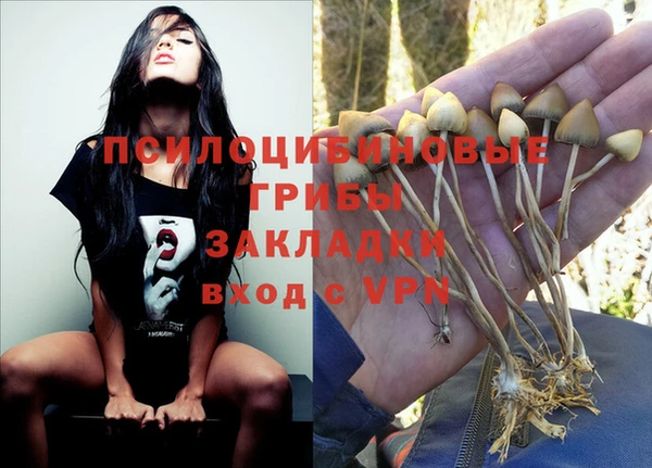 спиды Белокуриха
