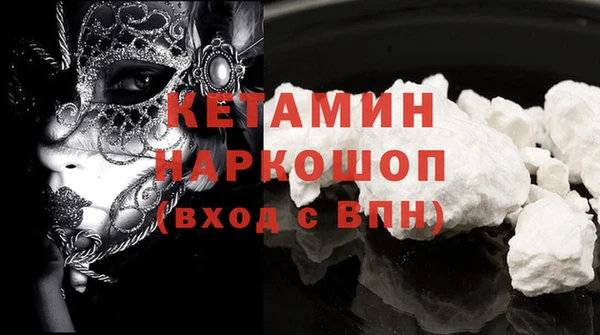 шишки Богородицк