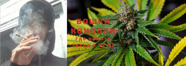ГАЛЛЮЦИНОГЕННЫЕ ГРИБЫ Дегтярск